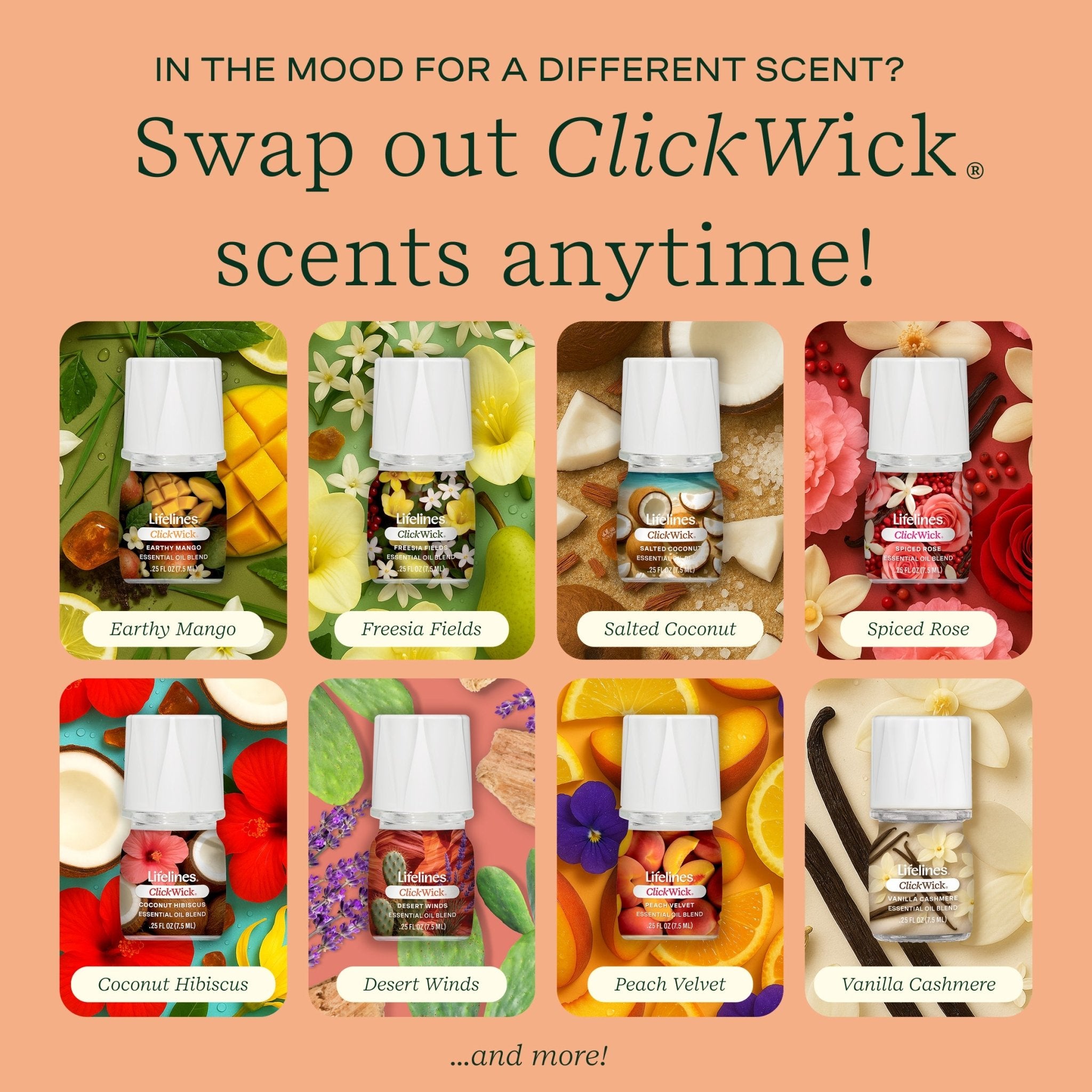 clickwick-75ml-single-desert-winds-5385443.jpg