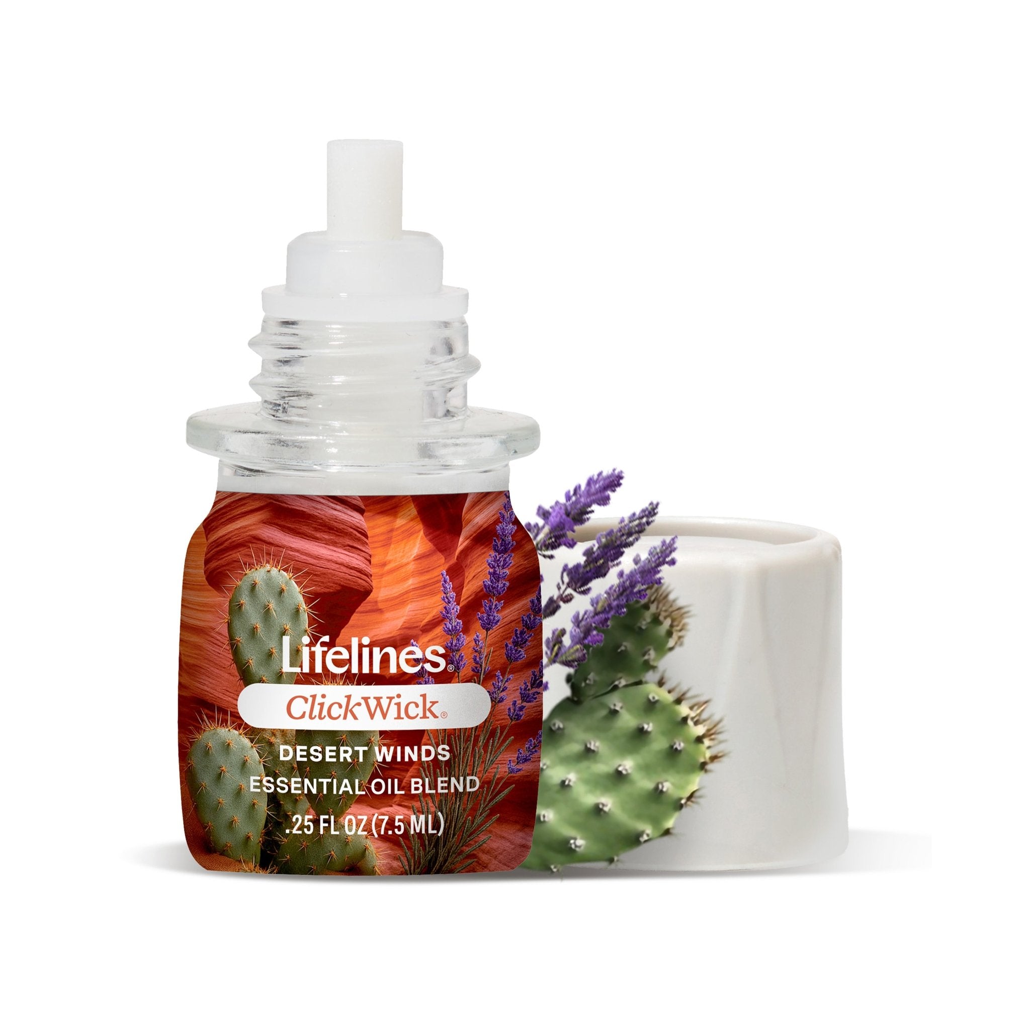 clickwick-75ml-single-desert-winds-8915133.jpg