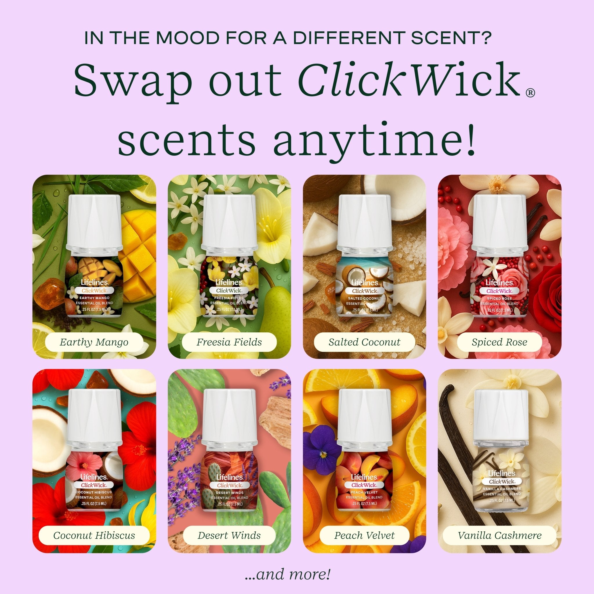 clickwick-75ml-single-in-bloom-7818989.jpg